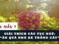 Giải thích câu tục ngữ Ăn quả nhớ kẻ trồng cây