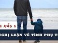 Nghị luận về tình phụ tử