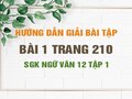 Bài 1 trang 210 SGK Ngữ văn 12 tập 1