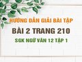 Bài 2 trang 210 SGK Ngữ văn 12 tập 1