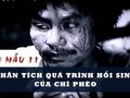 Phân tích quá trình hồi sinh của Chí Phèo