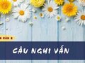 Soạn bài Câu nghi vấn