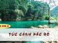 Soạn bài Tức cảnh Pác Bó