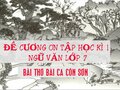 Đề cương ôn tập học kì 1 Ngữ văn lớp 7 bài Bài ca Côn Sơn