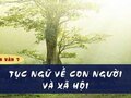 Soạn bài Tục ngữ về con người và xã hội