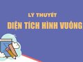 Lý thuyết diện tích hình vuông