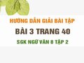 Bài 3 trang 40 SGK Ngữ văn 8 tập 2