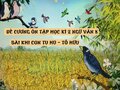 Đề cương ôn tập học kì 2 Ngữ văn 8 bài Khi con tu hú