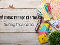 Đề cương thi học kì 2 Toán 6 trường THCS Ái Mộ