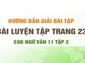 Bài luyện tập trang 23 SGK Ngữ văn 11 tập 2