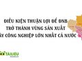 Điều kiện thuận lợi để ĐNB trở thành vùng sản xuất cây công nghiệp lớn nhất cả nước