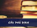 Soạn bài Câu phủ định