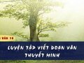 Soạn bài Luyện tập viết đoạn văn thuyết minh