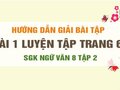 Bài 1 luyện tập trang 61 SGK Ngữ văn 8 tập 2