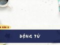 Soạn bài Động từ
