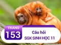 Câu hỏi trang 153 SGK Sinh học 11