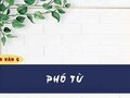 Soạn bài Phó từ