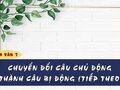 Soạn bài Chuyển đổi câu chủ động thành câu bị động (tiếp theo)