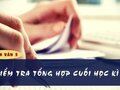 Soạn bài Kiểm tra tổng hợp cuối học kì 1