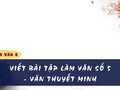 Soạn bài Viết bài tập làm văn số 5 lớp 8