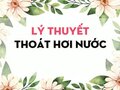 Lý thuyết Thoát hơi nước