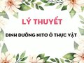 Lý thuyết Dinh dưỡng nitơ ở thực vật
