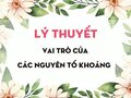 Lý thuyết Vai trò của các nguyên tố khoáng
