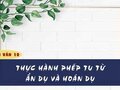 Soạn bài Thực hành phép tu từ ẩn dụ và hoán dụ