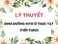 Lý thuyết Dinh dưỡng nitơ ở thực vật (Tiếp theo)