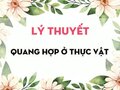 Lý thuyết Quang hợp ở thực vật