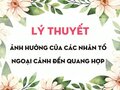 Lý thuyết Ảnh hưởng của các nhân tố ngoại cảnh đến quang hợp
