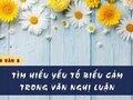 Soạn bài Tìm hiểu yếu tố biểu cảm trong văn nghị luận