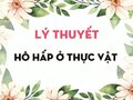 Lý thuyết Hô hấp ở thực vật