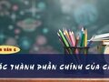 Soạn bài Các thành phần chính của câu