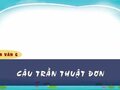 Soạn bài Câu trần thuật đơn