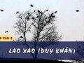 Soạn bài Lao xao (Lao xao ngày hè) - Duy Khán