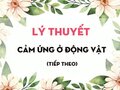 Lý thuyết Cảm ứng ở động vật (tiếp theo)