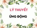 Lý thuyết Ứng động