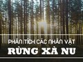 Phân tích các nhân vật trong rừng xà nu (Nguyễn Trung Thành)