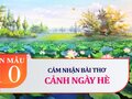 Cảm nhận về bài thơ Cảnh ngày hè (Nguyễn Trãi)