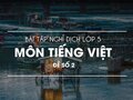 Bài tập nghỉ dịch lớp 5 môn Tiếng Việt - Đề số 2