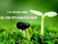 Tổng hợp các đề đọc hiểu câu chuyện về hai hạt mầm
