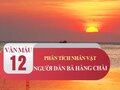 Phân tích người đàn bà hàng chài trong Chiếc thuyền ngoài xa