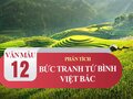 Phân tích bức tranh tứ bình trong bài Việt Bắc