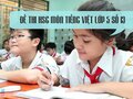 Đề thi học sinh giỏi lớp 5 môn Tiếng việt - Đề số 13