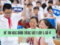 Đề thi học sinh giỏi lớp 5 môn Tiếng việt - Đề số 4