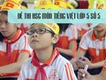 Đề thi học sinh giỏi lớp 5 môn Tiếng việt - Đề số 5