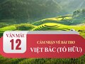 Cảm nhận về bài thơ Việt Bắc (Tố Hữu)
