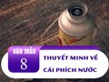 Thuyết minh về cái phích nước