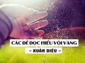 Các đề đọc hiểu Vội vàng (Xuân Diệu)